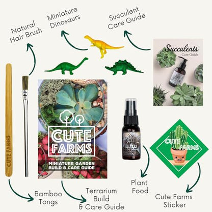 Cute Farms Terrarium Starter Kit | Moss, Vermiculite, Soil, Pebbles, Plant Food, Finishing Tools, Build and Care Guide | DIY Succulent Terrarium (Small) - size: Small Kit