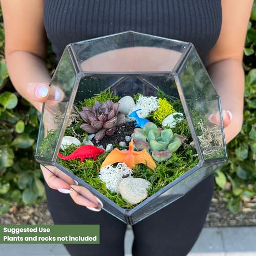 Cute Farms Glass Terrarium Kit | Just Add Your Own Plants (Geometric Glass) - style: Geometric Glass