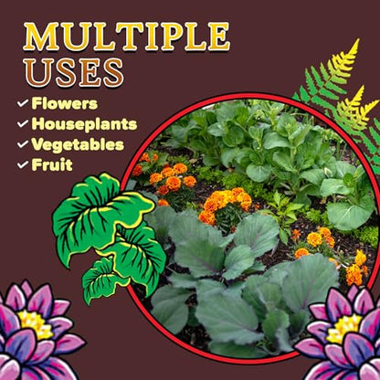 FoxFarm Happy Frog Potting Soil - Ready-to-Use Amended Container Blend with Soil Microbes, Earthworm Castings, Bat Guano, and Aged Forest Products for Indoor & Outdoor Plants - 12 Quart (Pack of 3) - size: 12 Quarts (3 Pack)