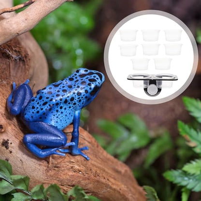 BESPORTBLE Reptile Feeding Station with Dual Food Basins and 10 Plastic Bowls, Suction Cup Mounted Water and Food Dish for Tree-Dwelling Pets, Suitable for Geckos and Lizards in Terrariums