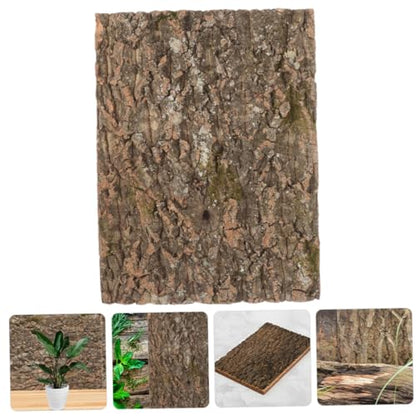 Toddmomy Cork Bark Background for Reptile Tanks and Aquariums Natural Terrarium Decor Safe for Aquatic Animals Compact for Climbing Pets