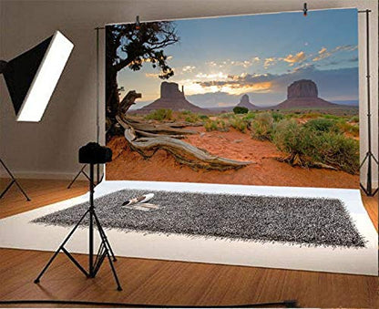 Leyiyi 5x4ft Monument Valley Photography Background American National Park Navajo Tribal Park Cowboy Western Desert Weathering Rock Warship Landmark Film Backdrop Polyester Terrarium Background - color: Desert2, size: 5x4ft-P