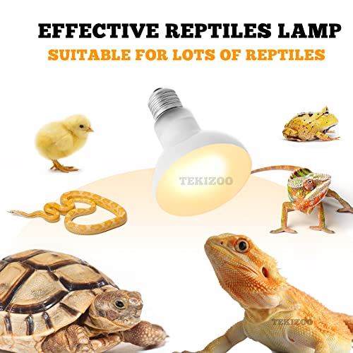 Reptile Heat Lamp Basking Spot Bulb UVA Daylight Light for Amphibian,Lizard,Tortoise,Bearded Dragon 50W(4 Pack)