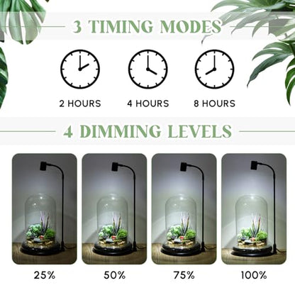 Maxdot Plant Terrarium Kit with Grow Light, 4.8'' x 7.87'' Glass Dome Terrarium with Air Hole and Base, Succulent Air Planter Fern Moss Micro Landscape Vase for Home Office Tabletop Decoration