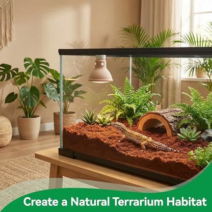 3 Pcs Organic Coconut Fiber Substrate, Biodegradable 100% Natural Coco Soil Brick, Multipurpose Eco-Friendly Terrarium Bedding for Reptiles, Tortoise, Bearded Dragon, Gecko, Snake & Amphibians - size: 3 Pcs