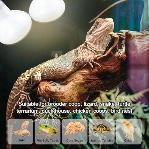 Reptile Heat Lamp 150W,Daylight UVA Basking Light Bulbs with E26 Base for Lizards, Turtles, Snakes and Amphibians 2 Pack - style: Basking 150W 2Pack