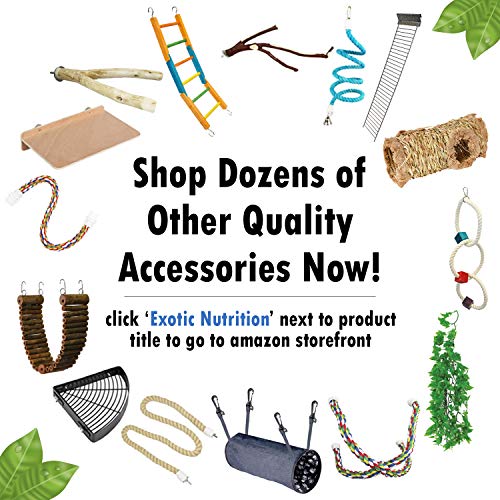 Natural Branch (Forked) - Durable Multi-Branch Perch Stand Cage Accessory - Sugar Gliders, Squirrels, Prairie Dogs, Degus, Marmosets, Monkeys, Parrots, Birds, Rats, Reptiles, Amphibians & Small Pets