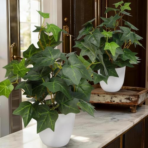 alyptus Fake English Ivy Plants in Pots Set of 2 – Realistic Artificial Ivy Greenery for Home Decor, Tabletop, Office, Shelf, Balcony or Bathroom - Green with White Pots - color: Green - English Ivy