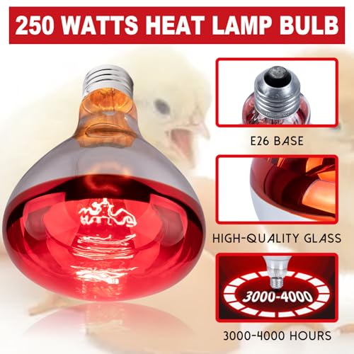 250 Watts Heat Lamp Bulbs, R40 Brooder Heat Lamp Bulbs for Chickens, Infrared Reflector Heat Bulbs for Brooder Heater, Incandescent Heating bulb for Chicks, Pet, Light Therapy, Bathroom, Food (1 Pack) - size: 1 Count (Pack of 1)