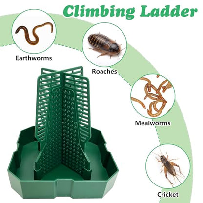 2PCS Reptile Hunting Bowl,4.4"×4.4"×4.7" H Insect Feeding Box with Rope and Tweezers Chameleon Feeder Bowls Hanging Bearded Dragon Bug Bowls Mounted Insect Reptile Feeder Box (Green,Small) - color: Green, size: Small:4.4"L×4.4"W×4.7"H