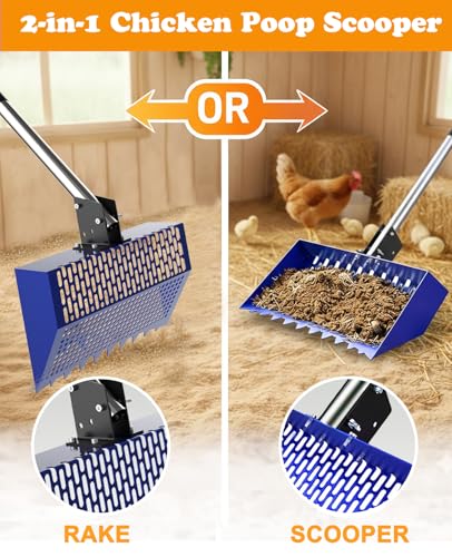 INNOLAND Chicken Poop Scooper & Rake with 3-Angle Adjustable Sifting Shovel, 12" Stainless Steel Chicken Coop Scoop for Sand, 22-64" No-Bend Poultry Litter Cleaner for Chicken Coop & Animals House