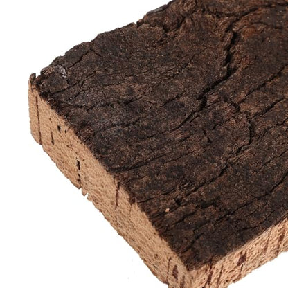 4pcs Cork Terrarium Background: Terrarium Bark Background Cork - Natural Bark Backdrop - Reptile Climbing Wall Accessories 3.94x2.56 - size: 10.00X6.50X2.00CM