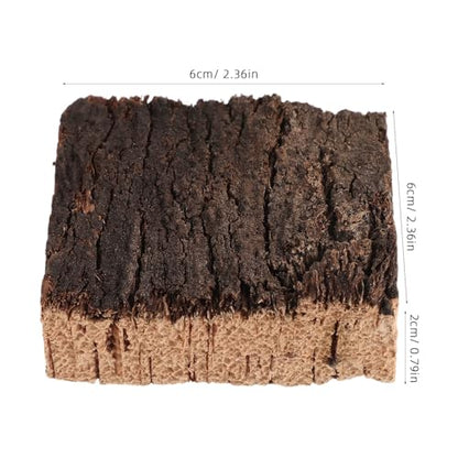 4pcs Cork Terrarium Background: Terrarium Bark Background Cork - Natural Bark Backdrop - Reptile Climbing Wall Accessories 2.36x2.36 - size: 6.00X6.00X2.00CM