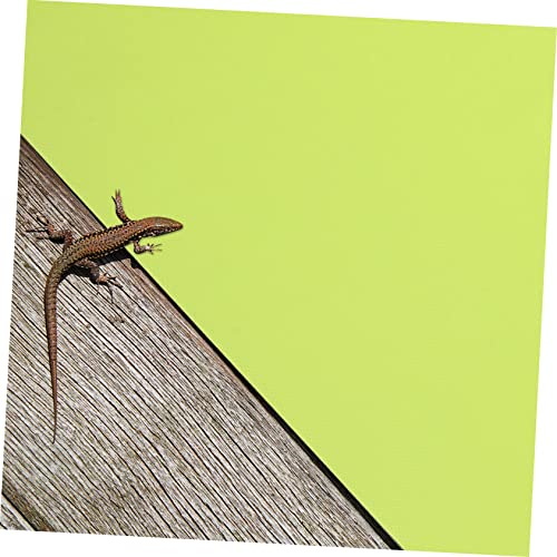 BESPORTBLE 2pcs Reptile Carpet Non-Stick Pad for Bearded Dragon Tortoise and Tanks and Comfortable Bedding for Reptile Habitats