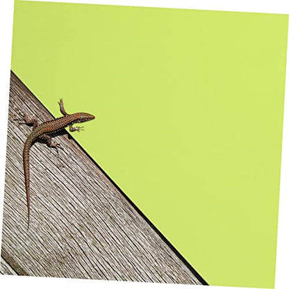 BESPORTBLE 2pcs Reptile Carpet Non-Stick Pad for Bearded Dragon Tortoise and Tanks and Comfortable Bedding for Reptile Habitats