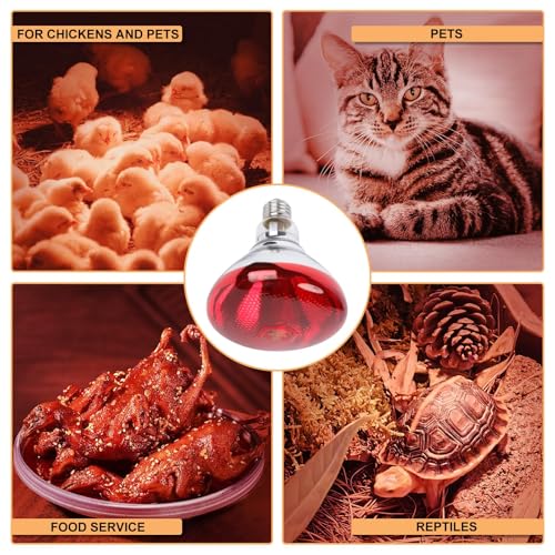 250W Red Heat Lamp Bulbs for Chicken,Infrared Flood Light Heat Lamp Bulb, Incandescent Light Heat Lamps for Chicks, Reptile, Pets, Par38 Glass E26 Base 2PCS - size: 250W 2PCS