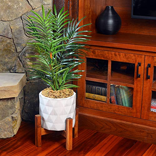 Mosser Lee ML0110 Long Fibered Sphagnum Moss – 432 cu in – High Water Retention, Soil-Free Gardening, Topiary Filler, Hanging Baskets, Crafts & Decoration - style: Spagnum Moss