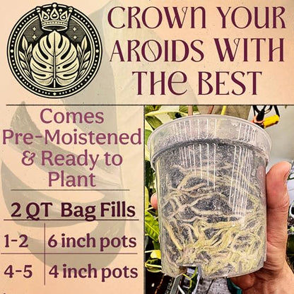 Craft Aroid Potting Mix- Elite Organic Alocasia, Philodendron, Monstera Soil Mix, Chunky, Well Draining Potting Soil for Indoor Plants, All Tropical Plants & Houseplants, Perlite & Peat Free 2QT - size: 2 Quart
