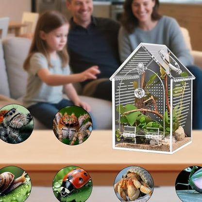 Clear Acrylic Reptiles Habitat Box with Ventilation Holes 12x12x20cm Reptiles Terrarium for Pets and Educational Use Comprehensive Fly Container