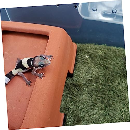 ORFOFE Artificial Lawn Mat for Reptile Box Snake Habitat Accessories Moss Terrarium Decor Gecko Tank Pad Lizard Tank Accessories Double-Sided Water Absorption