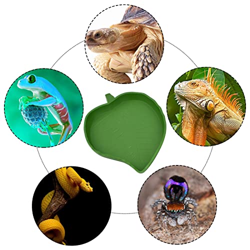 Leaf Shape Reptile Food Water Bowl 2 Pieces Reptile Plate Dish Drinking Bowl for Tortoise Corn Snake Crawl Pet Drinking and Eating, 2 Sizes