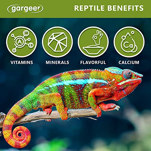 Gargeer All Reptiles Color Enhancer. Magnify Vibrant Colors, and Boost Health with Much Needed Minerals and Vitamins. 2oz Pouch for Weekly Use. Enjoy!