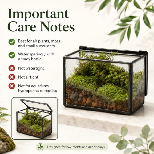 Mini Glass Terrarium Set of 2 with Lid, Tiny Rectangle Glass Succulent Terrarium Containers for Air Plants, Moss & Fairy Garden, Black Framed Tabletop Plant Holder, 4 x 2.8 x 2.4 & 2.8 x 2.4 x 4 in - color: Black