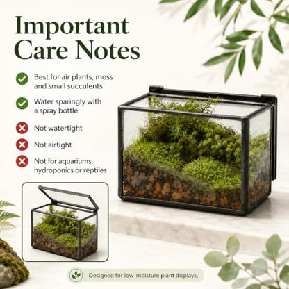 Mini Glass Terrarium Set of 2 with Lid, Tiny Rectangle Glass Succulent Terrarium Containers for Air Plants, Moss & Fairy Garden, Black Framed Tabletop Plant Holder, 4 x 2.8 x 2.4 & 2.8 x 2.4 x 4 in - color: Black