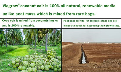 Viagrow® 5 kg (11 lb.) Buffered Compressed Coconut Coir Premium Grow Media (1-Pack) / A Product of The Harvest Company™ - color: Buffered 5KG, size: 1 Pack