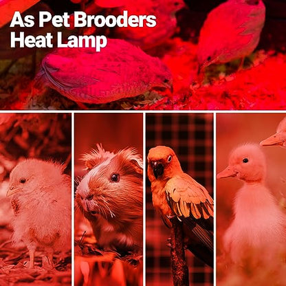 REPTI ZOO 150W Infrared Heat Lamp Bulb for Reptile, 2 Pack Infrared Basking Spot Light for Reptiles & Amphibian,Bearded Dragon, Leopard GeckoTurtle,Lizard, Chickens | Pet Brooders Heat Lamp - style: 150W/Infrared Lamp