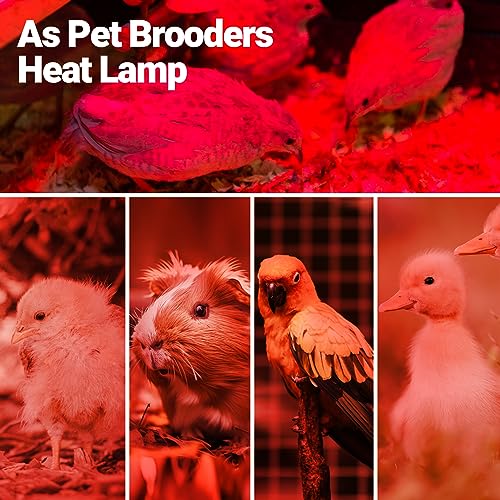 REPTI ZOO Reptile 50W Infrared Heat Lamp Bulb,2 Pack Infrared Basking Spot Light for Reptiles & Amphibian,Bearded Dragon,Leopard Gecko,Turtle,Lizard,Chickens | Pet Brooders Night Heat Lamp - style: 50W/Infrared Lamp