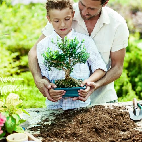 Doter Bonsai Soil Mix 2qt Ready to Use, Organic Bonsai Tree Soil Fits for Small Bonsai Pot, Suitable for Bonsai Seedling, Repotting, or Bonsai Starter Kit, black - size: 2qt