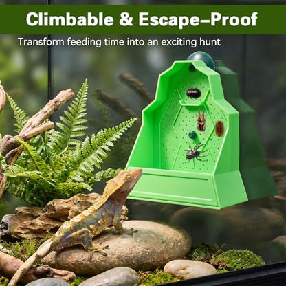 Bearded Dragon Feeder, Wall-Mounted Reptile Feeding Bowl, Anti-Escape Feeder with Suction Cup, Bearded Dragon Tank Accessories for Terrarium, Vivarium, Lizard, Gecko, Frog