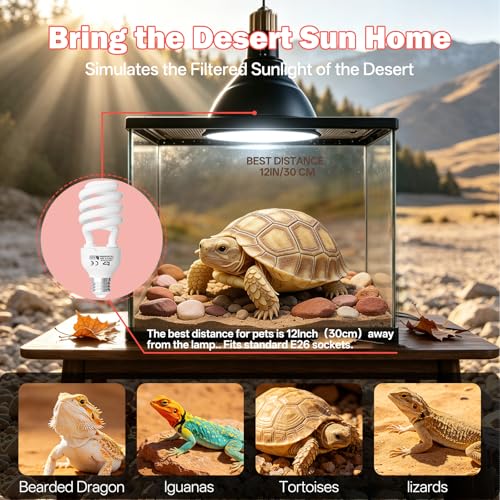 UVB Light for Reptiles 15.0: 26W UVA UVB Reptile Light Bulb for Intense Desert Species - Reptile UVB Light Terrarium Compact Fluorescent Lamp for Reptile and Amphibian with Free UV Sensor Card - size: 6.5INCH-15.0