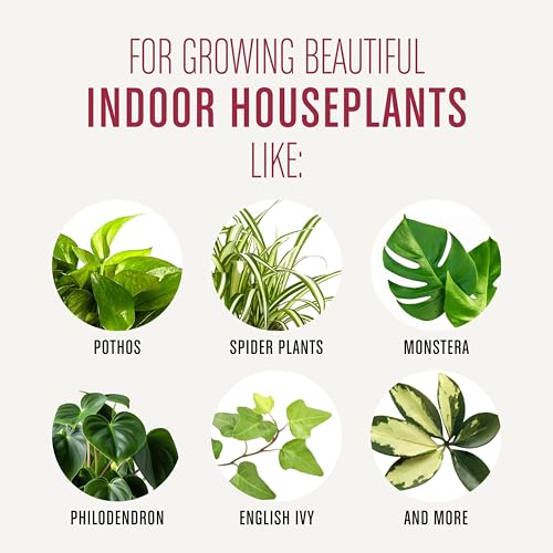 Miracle-Gro Houseplant Potting Mix - Fertilized Indoor Plant Soil for Containers, Designed to be Less Prone to Gnats, 4 qt. - size: 1 Pack, style: Houseplant