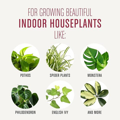 Miracle-Gro Houseplant Potting Mix - Fertilized Indoor Plant Soil for Containers, Designed to be Less Prone to Gnats, 4 qt. - size: 1 Pack, style: Houseplant