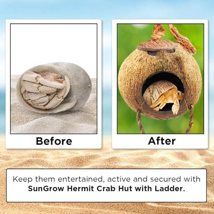 SunGrow Hermit Crab Coco Hut with Ladder, Hamster & Hermit Crab Hideout, Coconut Hide for Reptiles, Crab Cage Climbing Toys, Coconut Shell Mouse House, Habitat Tank Accessories, 5"