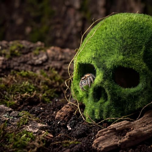 Realistic Mossy Skull Terrarium Ornament - 4.5" Reptile Habitat Decor for Gecko, Spider, Lizard Enclosure