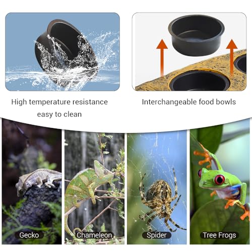 Gecko Feeding Ledge, Double Bowl Reptile Feeding Tray Magnetic Reptile Terrarium Tank Accessory for Geckos Lizards Chameleons Reptile Pets