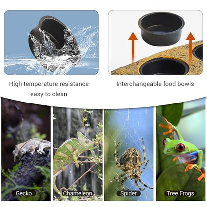 Gecko Feeding Ledge, Double Bowl Reptile Feeding Tray Magnetic Reptile Terrarium Tank Accessory for Geckos Lizards Chameleons Reptile Pets