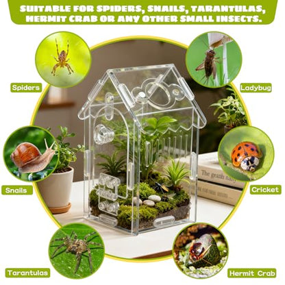 Jumping Spider Enclosure Acrylic Spider Cage Insect Terrarium Bug Enclosure Tarantula Enclosure Reptile Terrarium for Snail, Mantis, Lizard, and Small Reptiles - Small House Shape