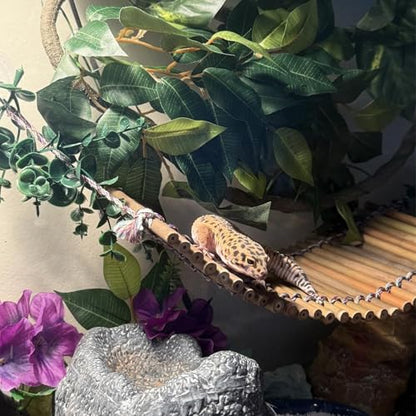 Reptile Climbing Bridge, Bamboo Lizard Ladder Bridge Bearded Dragon Hammock Lizard Lounger Hanging Terrarium Vines Decor Reptiles Habitat Tank Accessories for Gecko Chameleon(4PCS) - style: L【15.6 x 6.1 In】