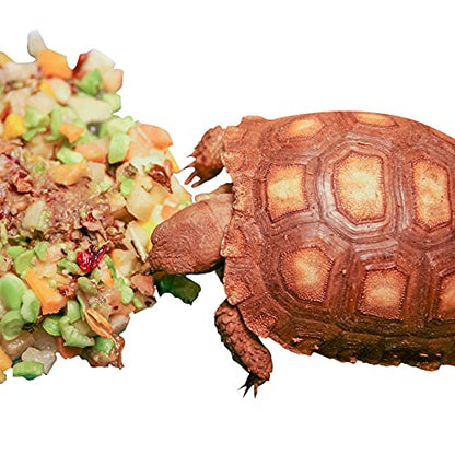 Healthy Herp Tortoise Food Instant Meal for Reptiles - Nutritious Turtle Food, Tortoise Habitat Accessories, Made in USA - Ideal for Box Turtles, Lizards - 3.5 oz (100g) - size: 3.5 Ounce (Pack of 1)