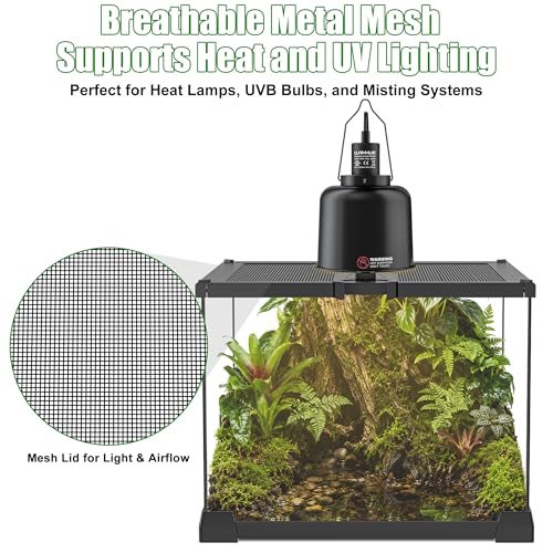 Mini Glass Terrarium Tank 8"x8"x6" with Top-Opening Mesh Lid, 360° Clear View, Ventilated Enclosure for Tarantulas, Jumping Spiders, Isopods, Froglets, & Small Reptiles - size: 8" x 8" x 6"