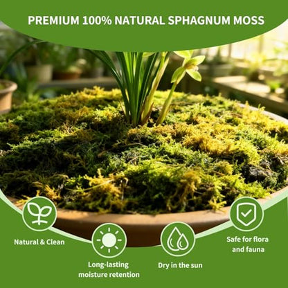 Compressed Sphagnum Moss for Plants & Reptiles (1pc)– Dried Peat Moss, Moisture-Retentive for Indoor Plants, Orchids, Terrariums, Reptile Bedding (100% Natural, Reptile-Safe - size: 1PCS