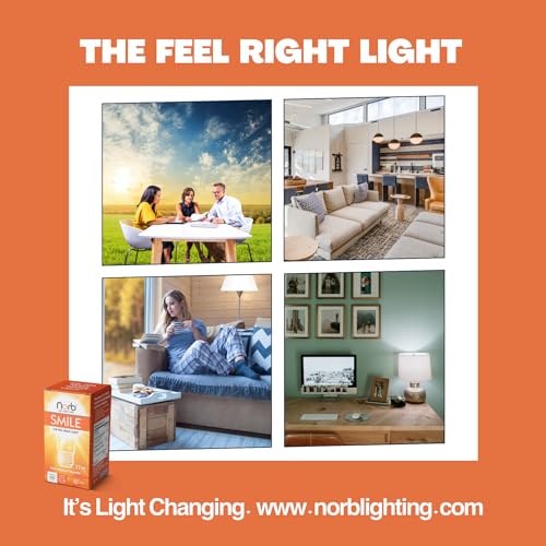 Norb NorbSMILE Full Spectrum Light Bulb | US Patented | A19 LED Bulb & 11W 800 Lumens | 5000K Daylight White, CRI 96/97 & Dimmable E26 Base | Boosts Energy, Mood & Supports Circadian Rhythm | 4 Pack - style: Smile 11W (4 Pack)
