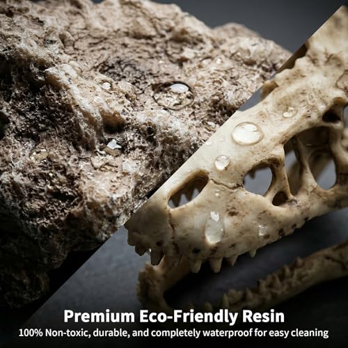 Anxingo Reptile Rock Reptile Cave Hideout for Snakes/Geckos/Lizards/Turtles and Other Amphibians, with Dinosaur Skull (Medium) - size: M