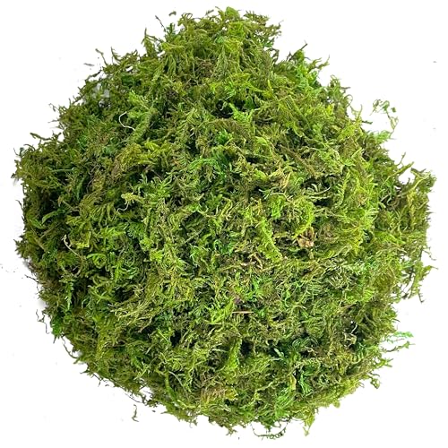 Green Moss for Crafts Artificial Moss Decorative Moss for Potted Plant Faux Orchid Moss Potting Mix Soil Peat Sphagnum Moss Pole Craft Arts Floral Wedding Decor Fairy Garden Terrariums Decoration - color: Y-Green, size: 100g