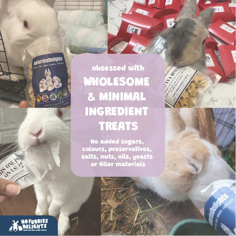 Forage Mix,100% All Natural Botanical Herb Treat for Rabbit Hamster Guinea Pig Chinchilla Chicken Gerbil Degu & Other Small Animals (All in One Forage Mix 30g)