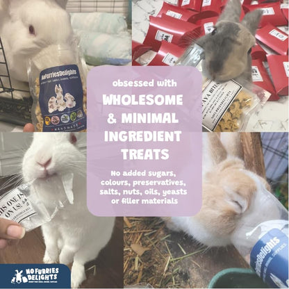 Forage Mix,100% All Natural Botanical Herb Treat for Rabbit Hamster Guinea Pig Chinchilla Chicken Gerbil Degu & Other Small Animals (All in One Forage Mix 30g)